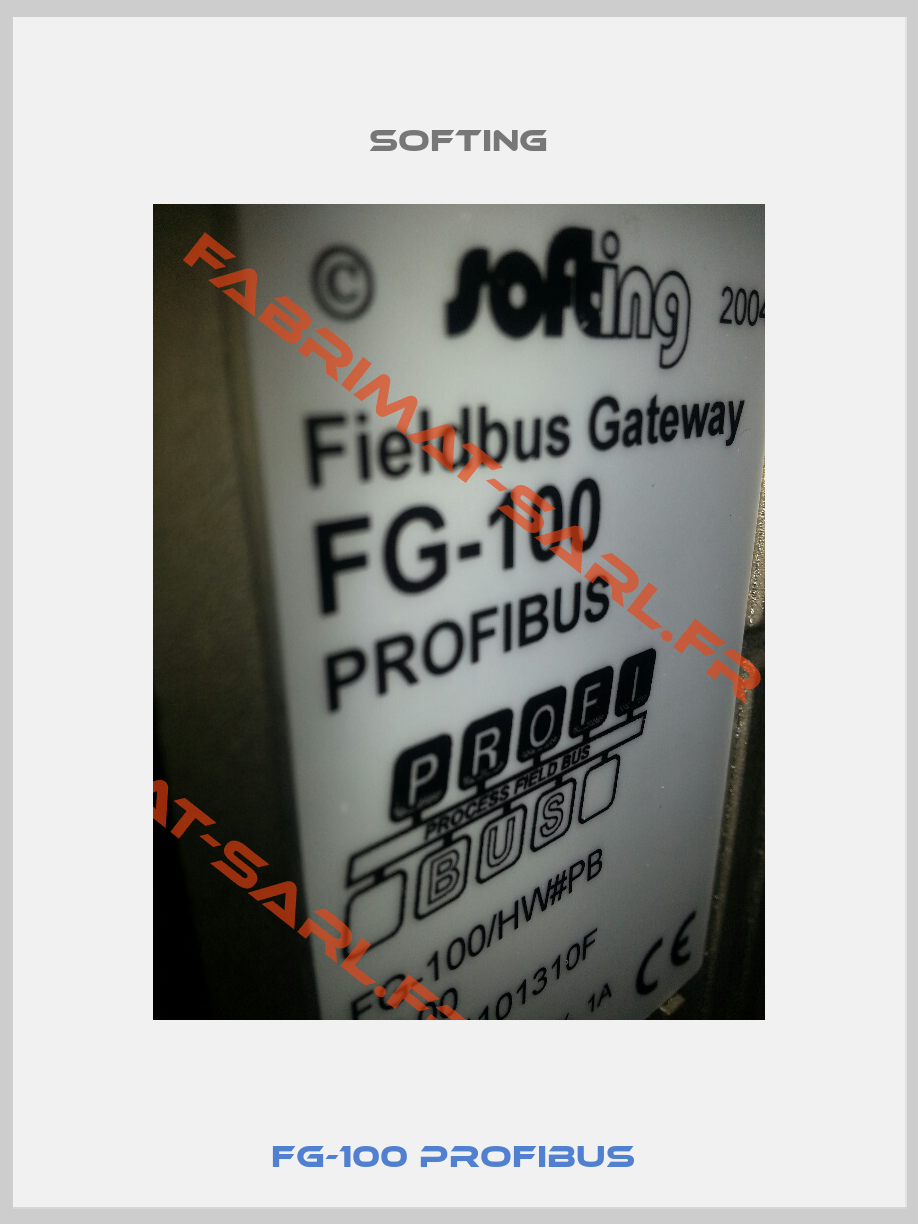 FG-100 Profibus -1